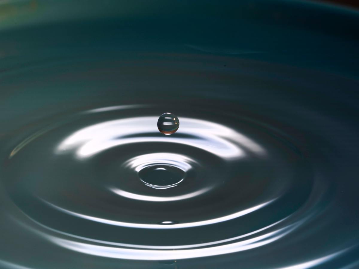 The Timeless Way of&nbsp;Leading